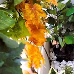 Rocha Sunny ポルティマン