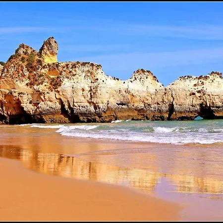 Apartment Rocha Sunny *