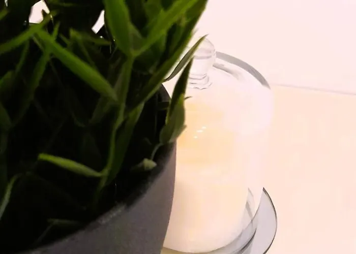 Rocha Sunny Apartamento *